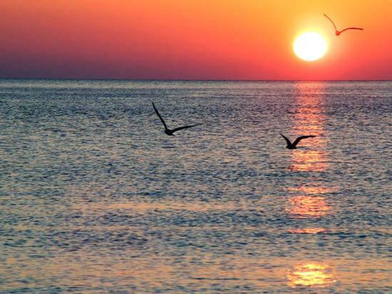 Stunning Sea View Apartment Alicante Ngoại thất bức ảnh