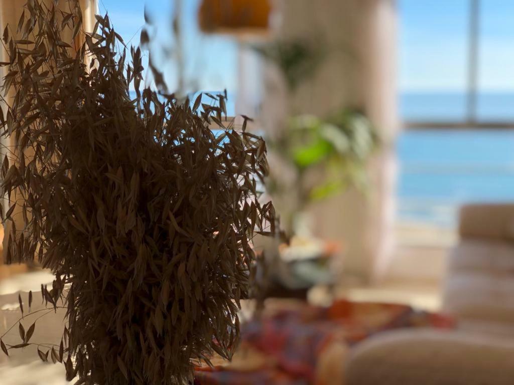 Stunning Sea View Apartment Alicante Ngoại thất bức ảnh